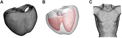 Three-Dimensional Heart Model-Based Screening of Proarrhythmic Potential by in silico Simulation of Action Potential and Electrocardiograms